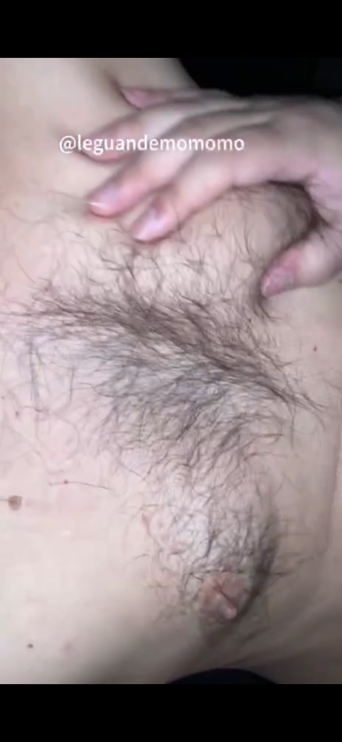 毛熊爸爸第二部