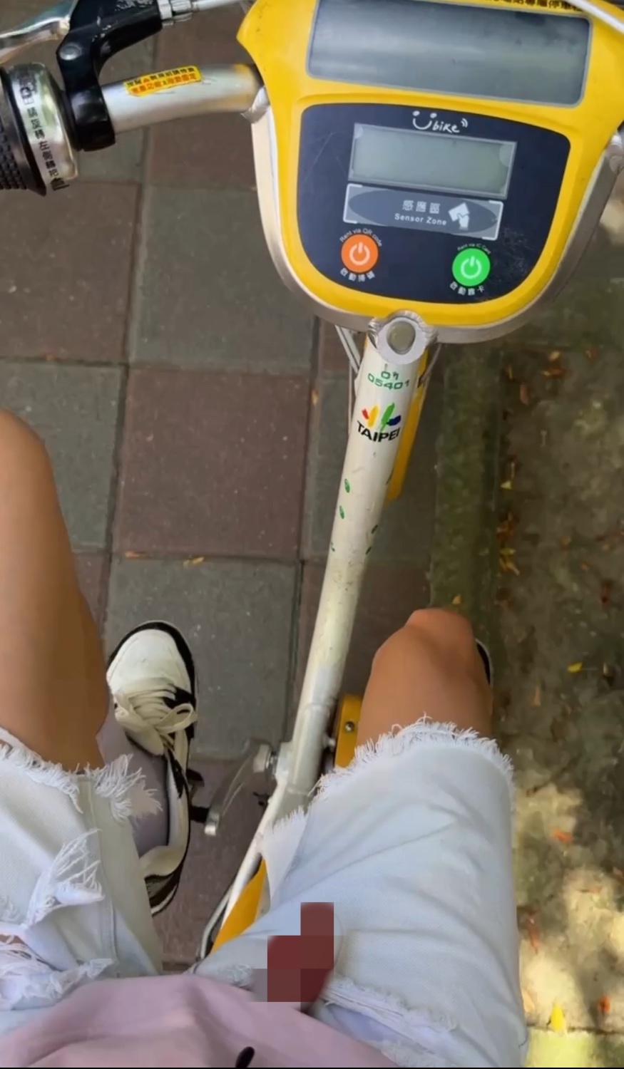 欸！！！這天氣騎腳踏車不把懶叫放出來會死掉哪😱