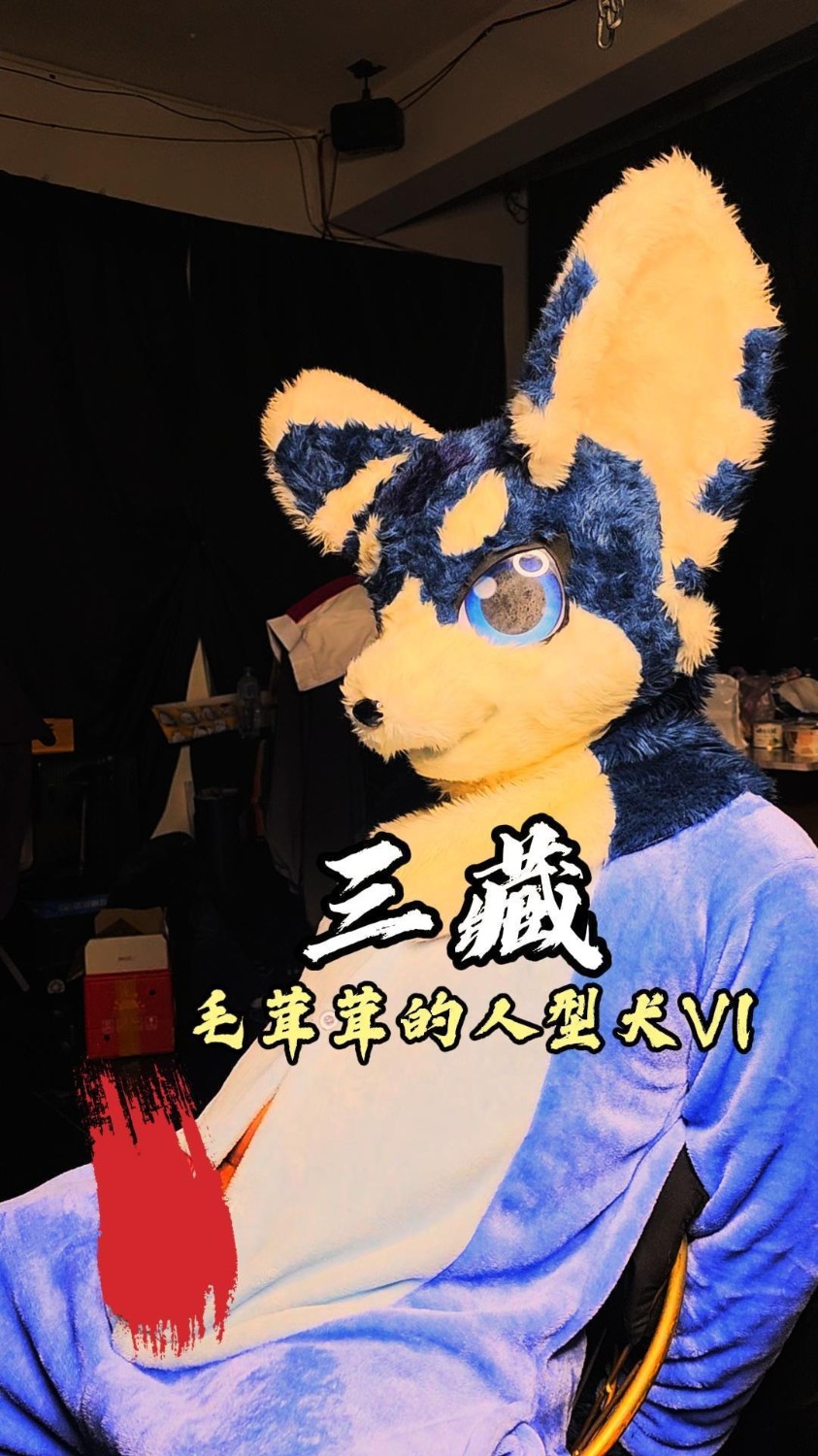 SZ250029-毛茸茸的人型犬V1