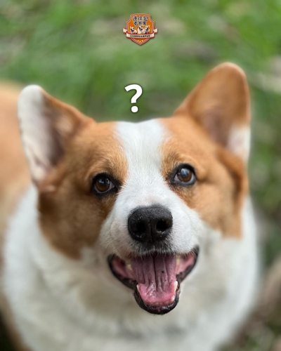 jessie💩👻💀🤪🫠