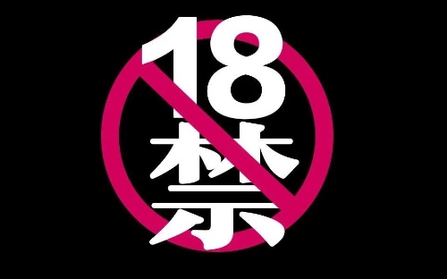 路神视频合集