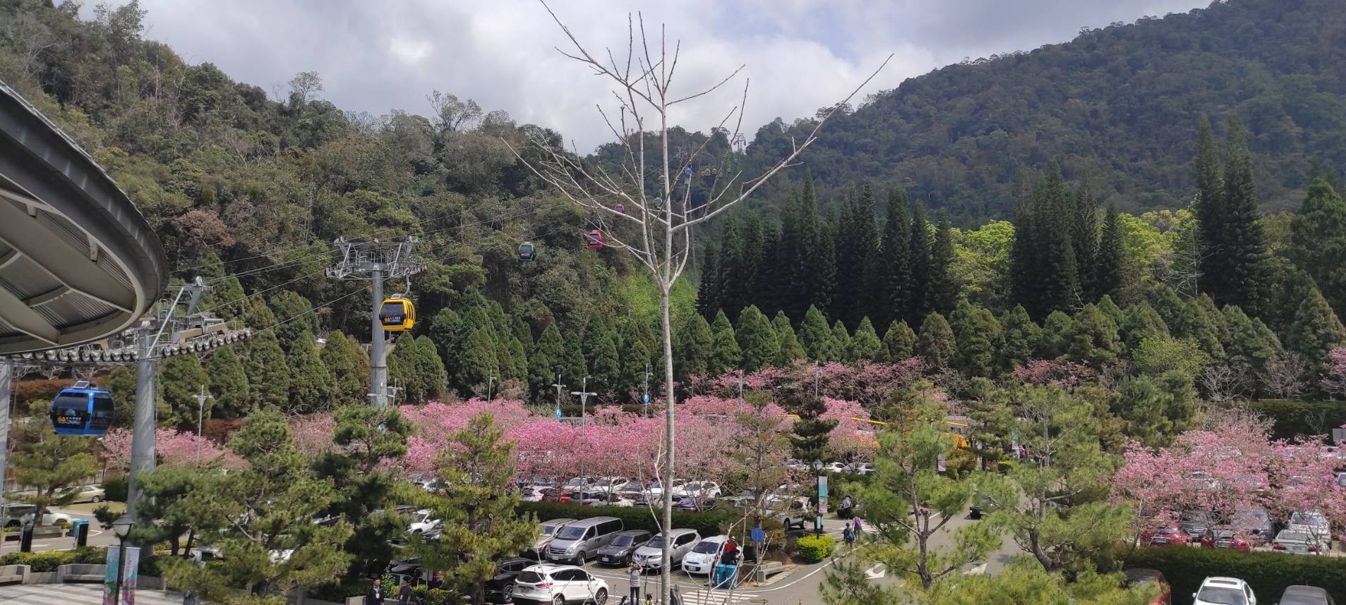 高空觀賞群山湖景的高級享受~南投日月潭纜車