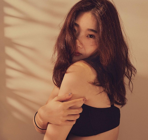 Dolly 朵莉(停更中請勿訂閱)