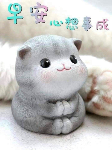 fong9966