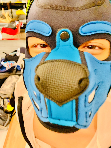 深深的米坑