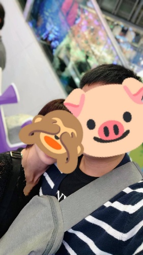 就愛吃便當