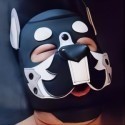 Pup来福