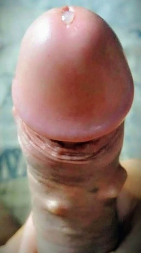 Tonuthai32