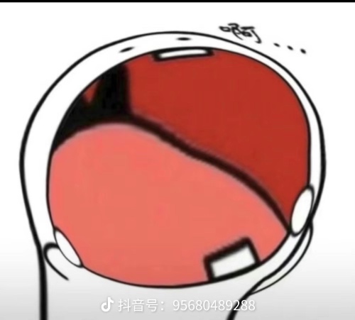 小贝视频合集