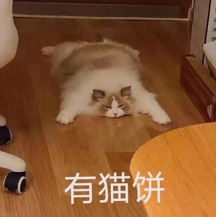 陸小魚