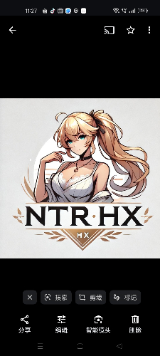 NTR HX
