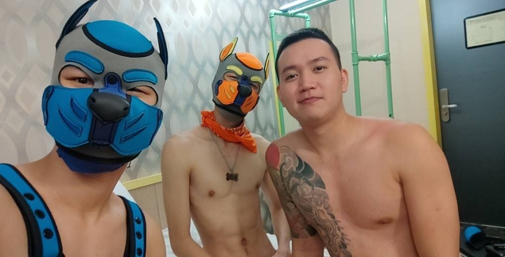 雙犬拜訪南部嬰仔 上下合集