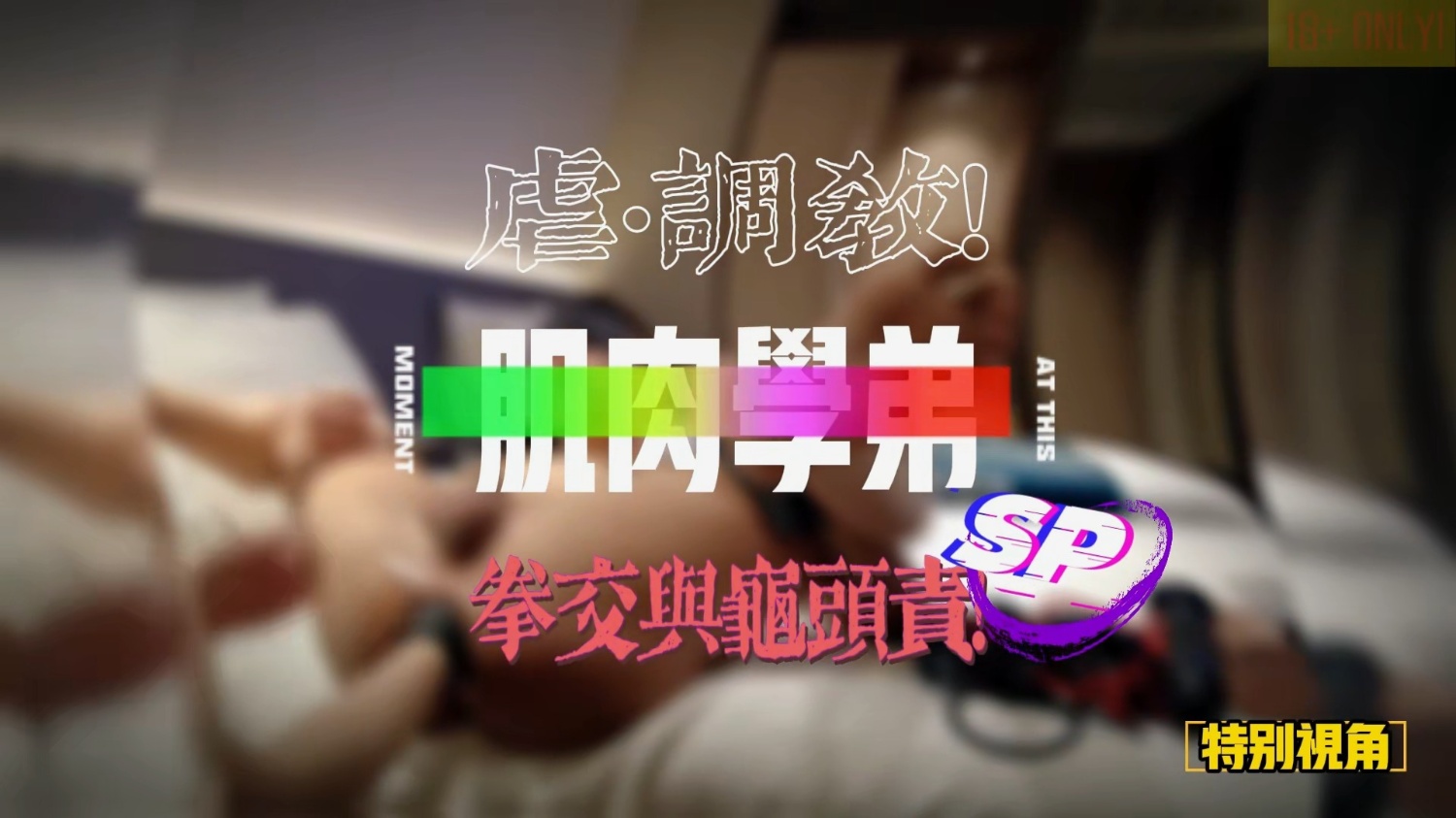 XD9 SP