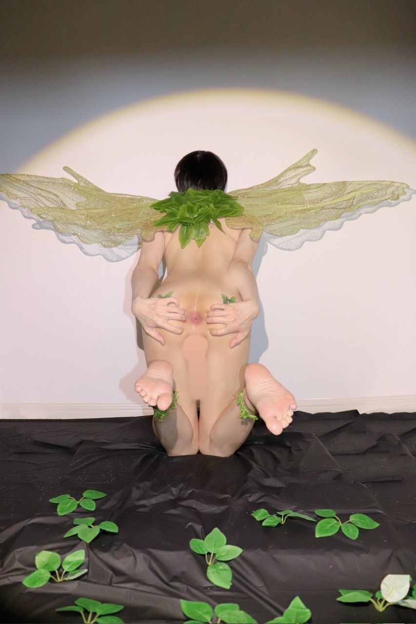 莱桑 🌿