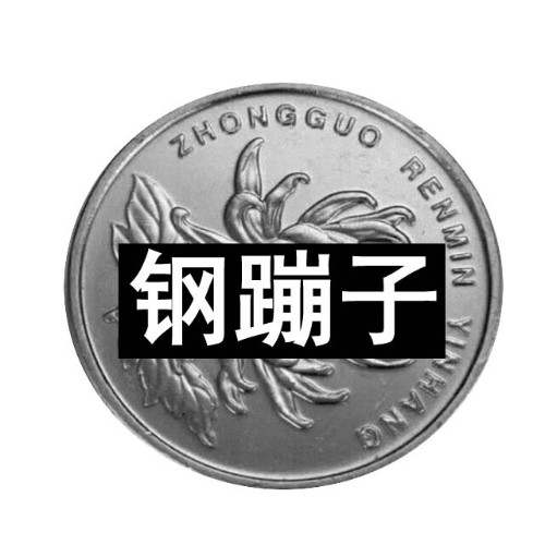 钢蹦夫妻