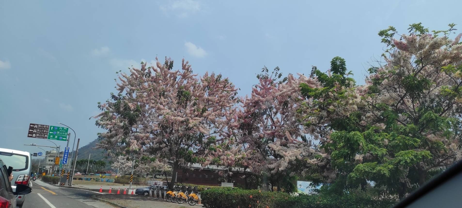 陪伴在地人的甲仙老店～小奇芋冰