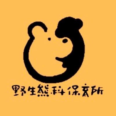 bearhunt80