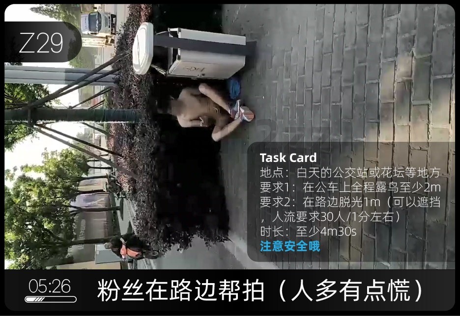 Z29 马路边暴露
