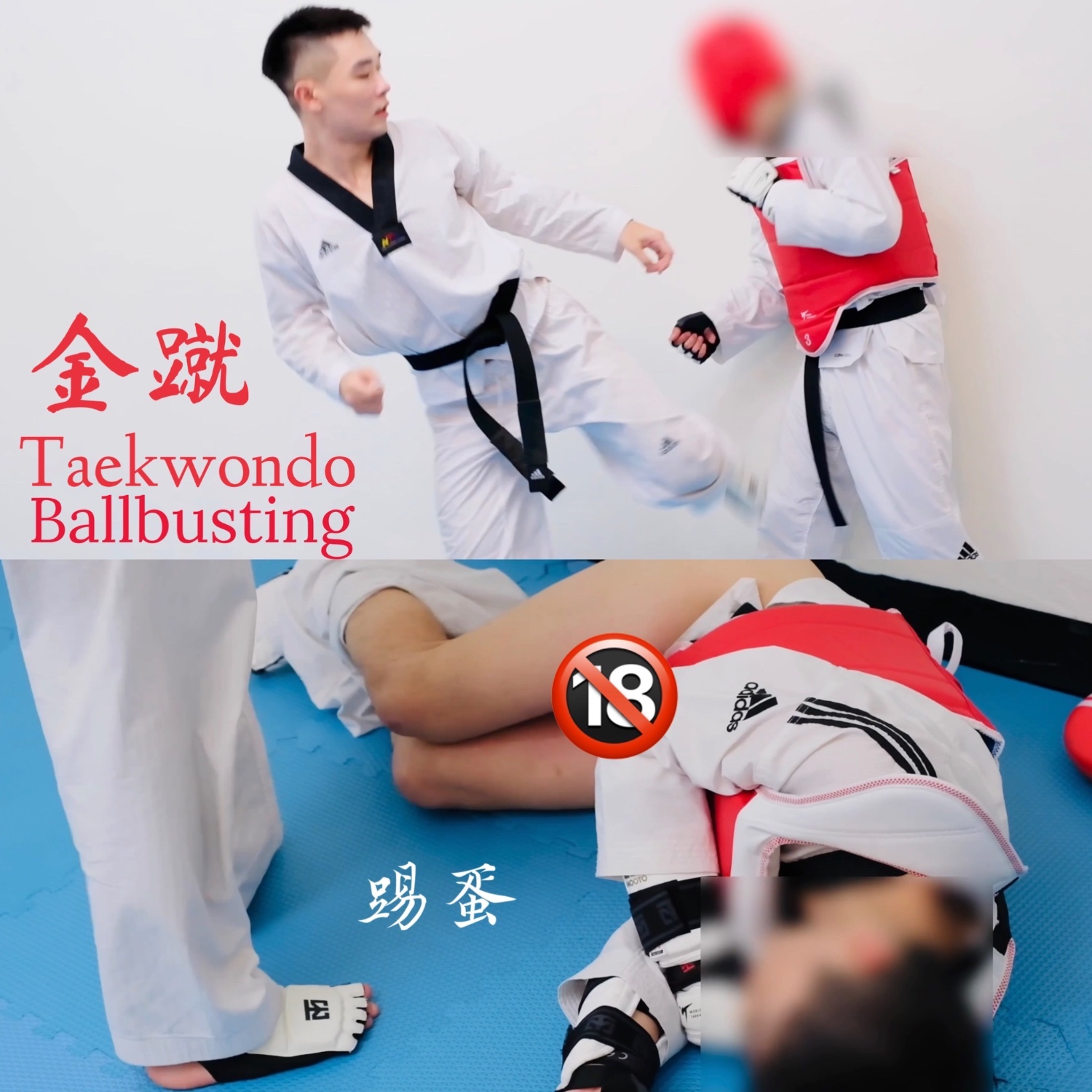 【純虐🥋金蹴】跆拳道踢擊
