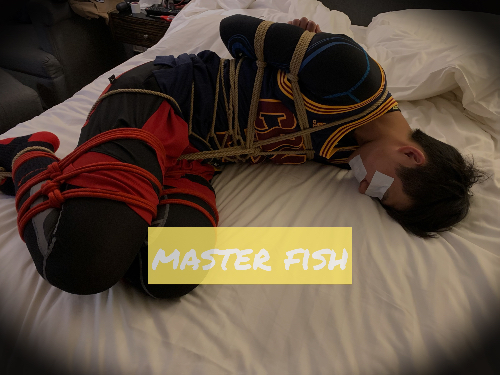 一隻懶惰的魚主