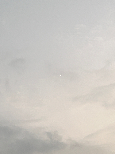你的一眼萬年💜🌙
