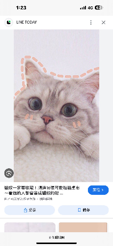 meowfish