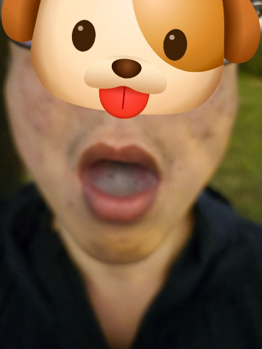 ahornywangwang