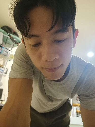 無言奶油犬