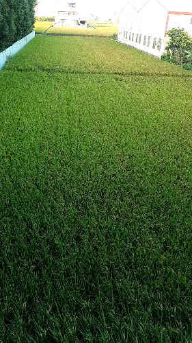 無二年