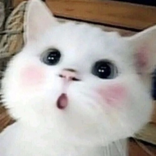 軟糖哭了QQ軟糖