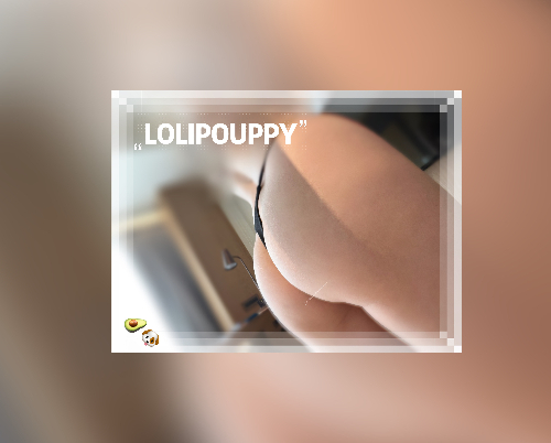 酪梨犬Lolipuppy
