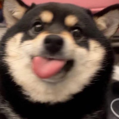 快乐狗勾