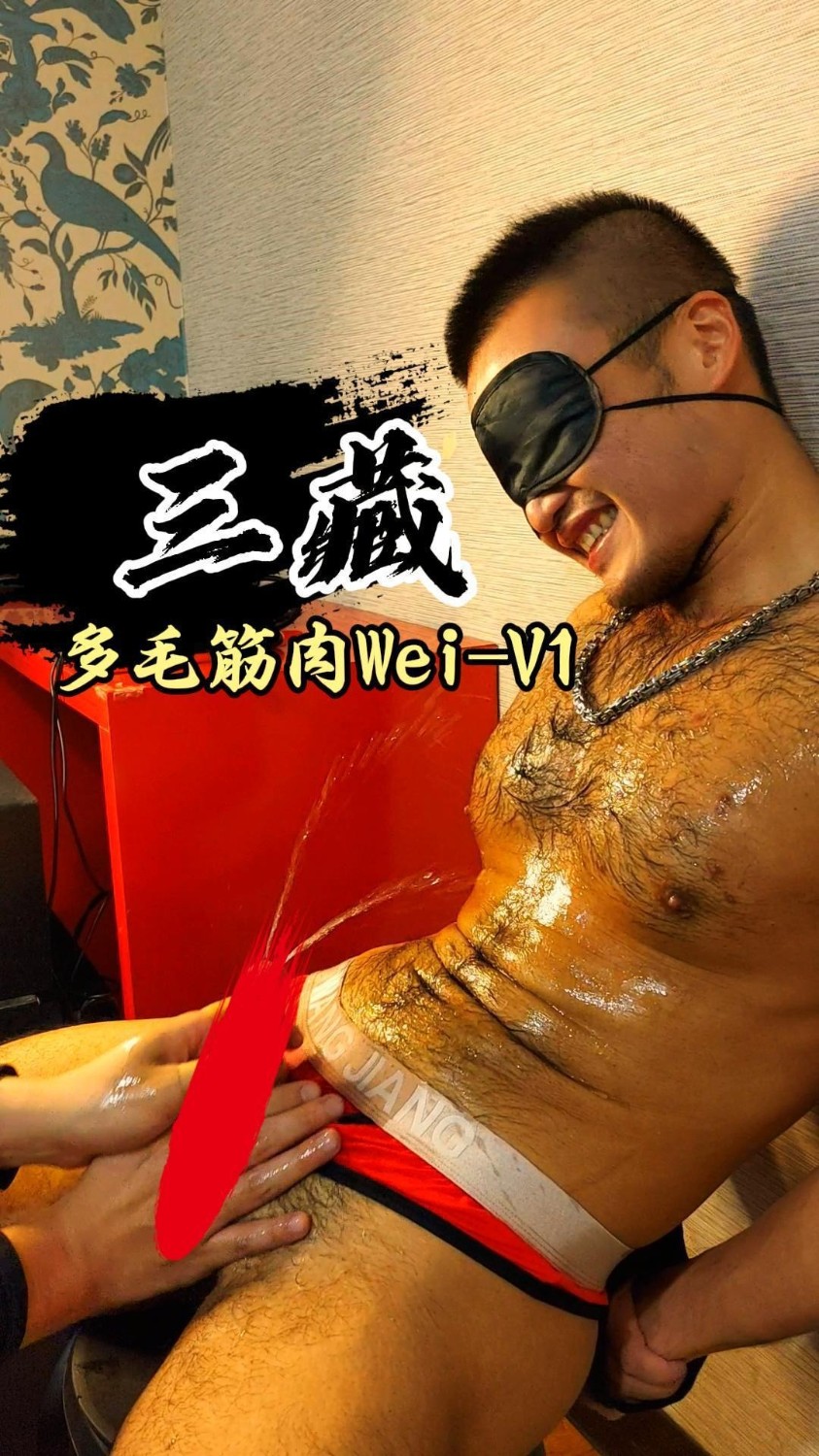 SZ250005-多毛筋肉Wei-V1