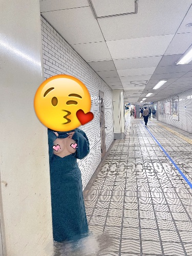 How&mi夫妻的淫亂天地