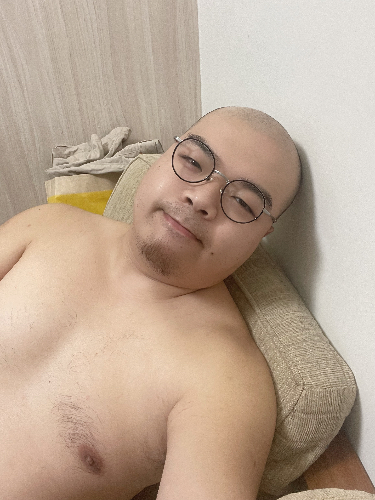 毛毛熊