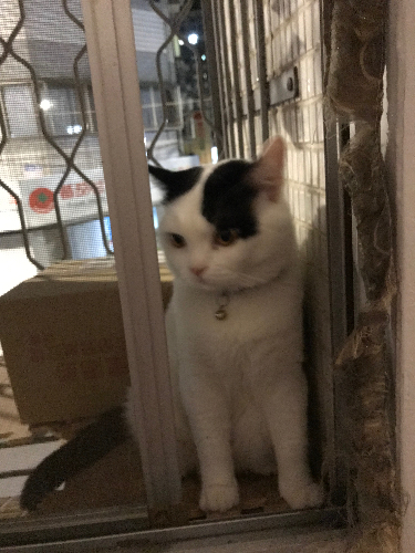 餒餒的成長日誌