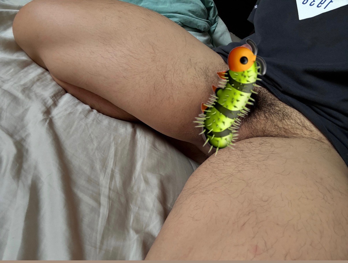 早起的鳥兒有蟲吃