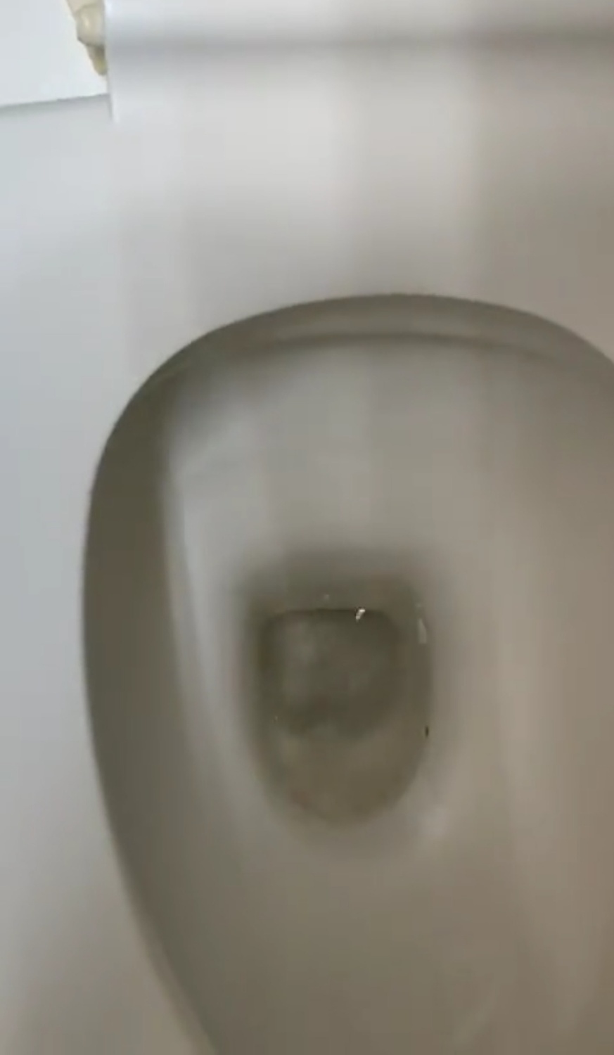 手上有刺青的小哥，背著他的男友約我去公園，