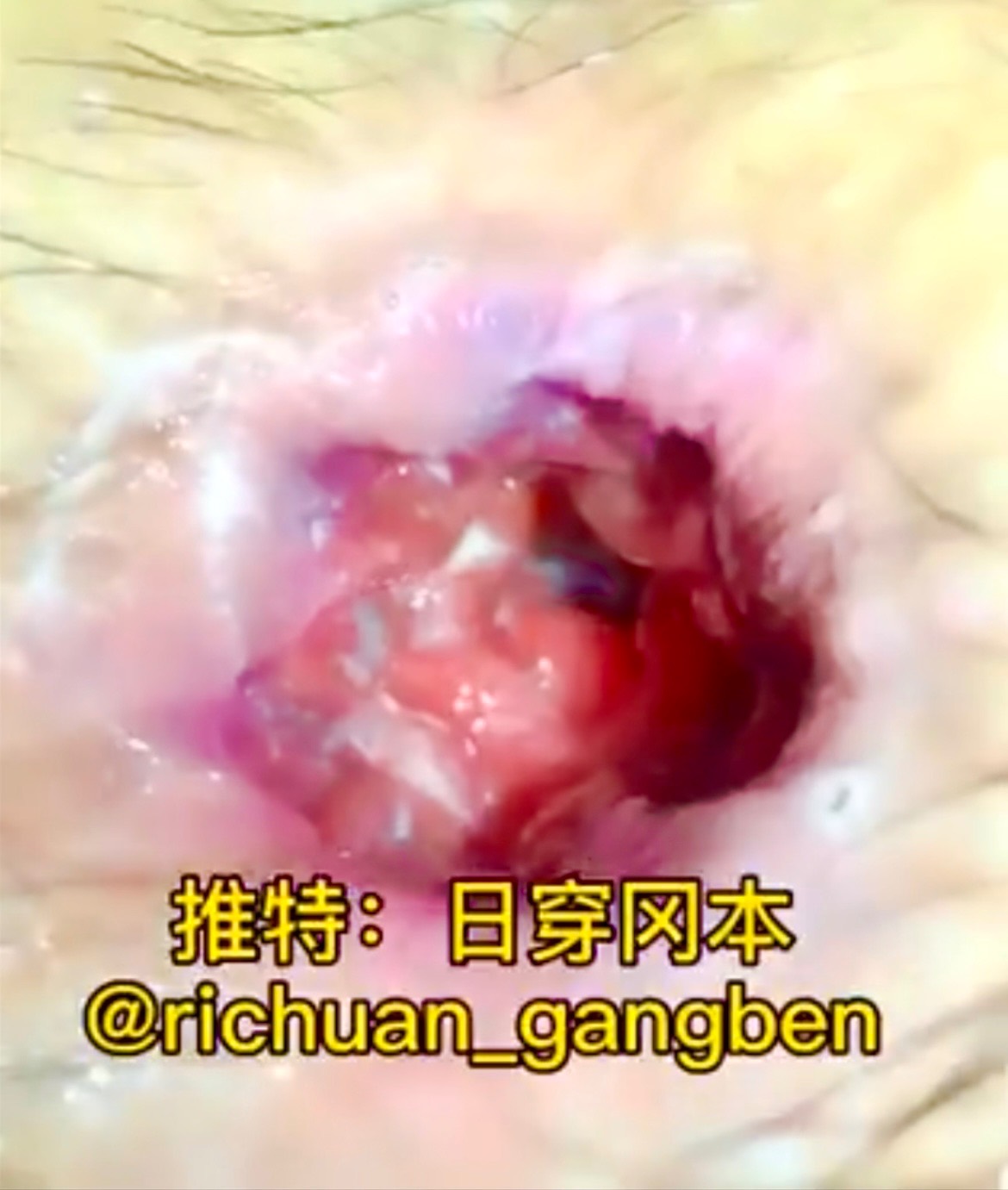 粉蜜大洞九轉十八彎 內部構造