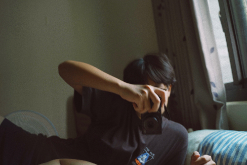 魏之樹