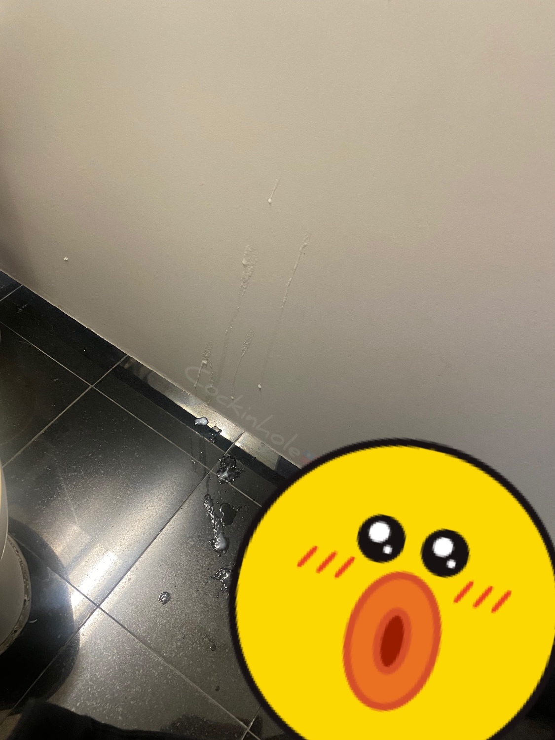 上班時間在公廁摸奶爽尻💦