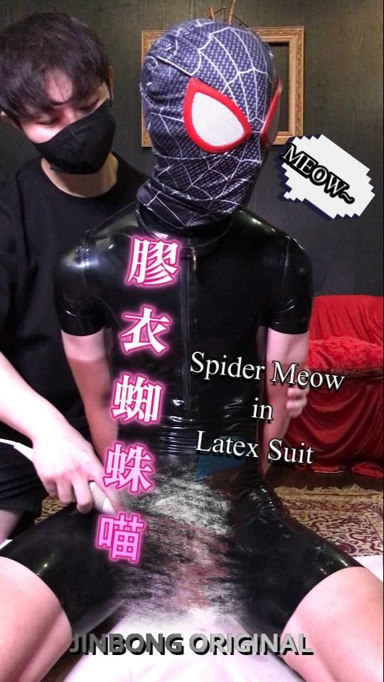 【膠衣蜘蛛喵】 Spider Meow in Latex Suit