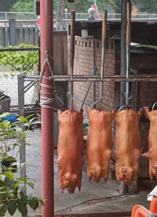 付清節聚餐,和長輩們喝了龜鹿二仙膠酒,乳頭癢癢的!豬隊友沒有喝,睡的比我還沉,所以偷拍一下(.)(.)