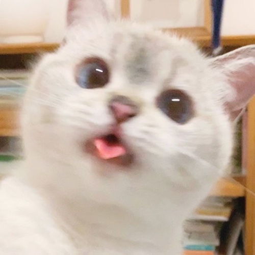 ee