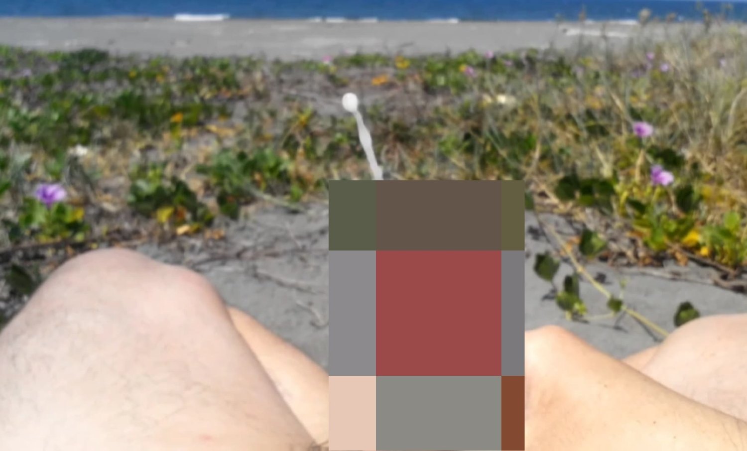 硬碟送人前一定要檢查...我差點把有裸曬射精的短片硬碟送我哥...😱😱😱...