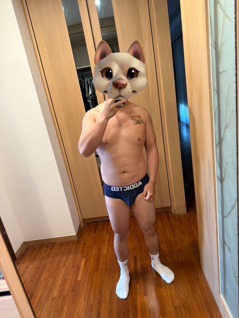 圖鑑18 厚皮肉壯白袍狗狗🐶 (上)