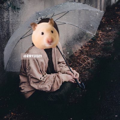 倉鼠尼🐹