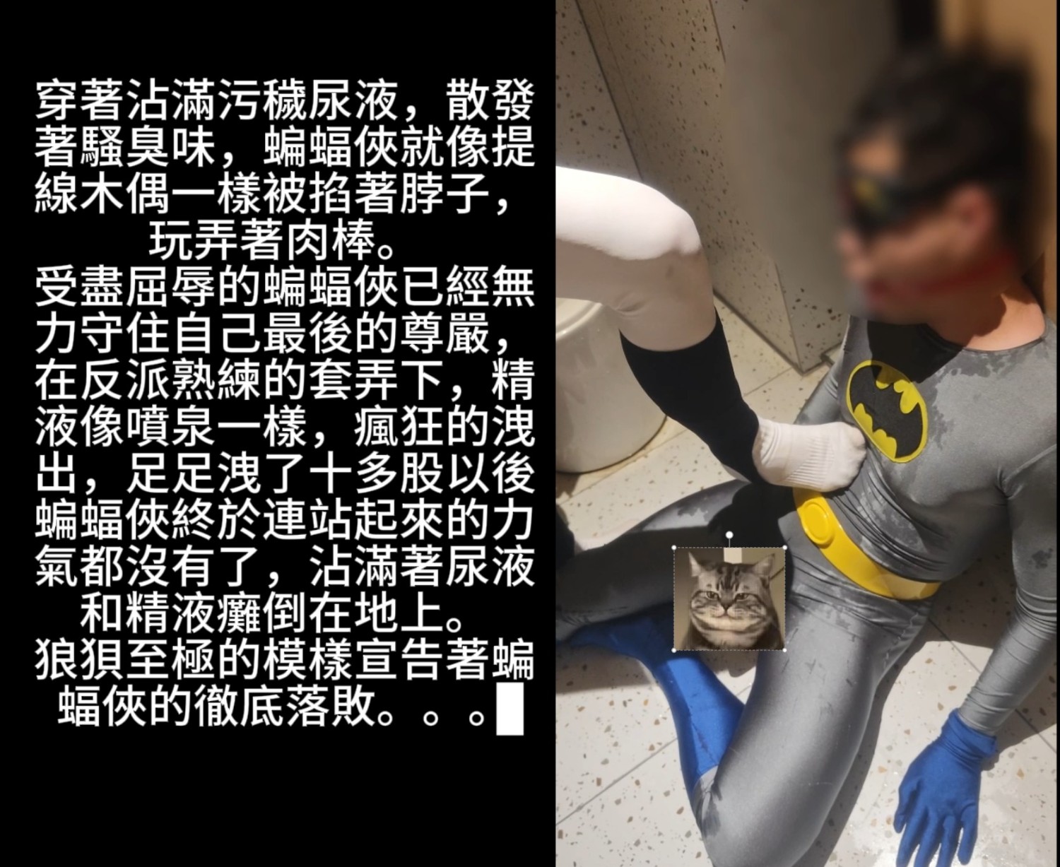 蝙蝠俠危機 下篇