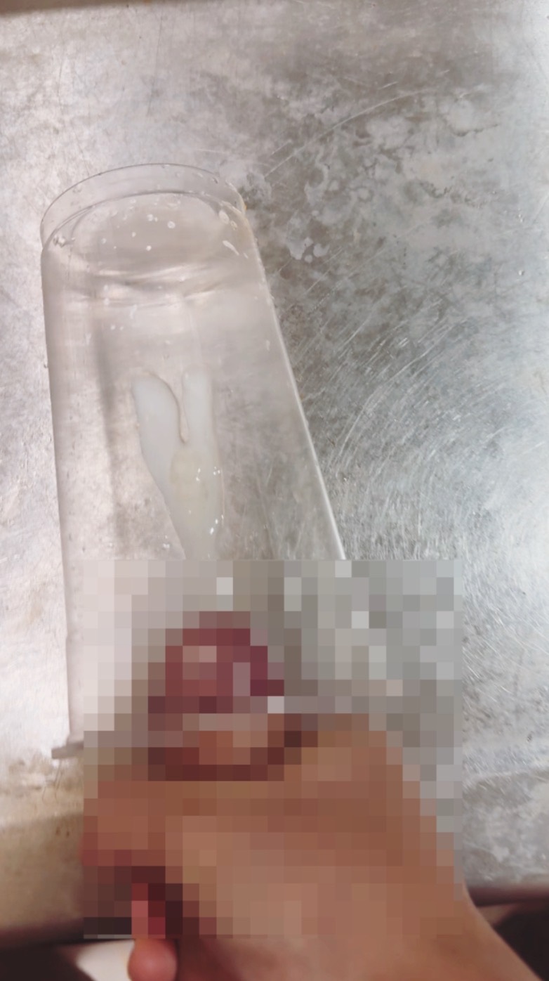 自製豆漿💦